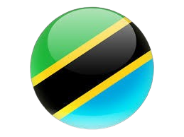Tanzania Flag